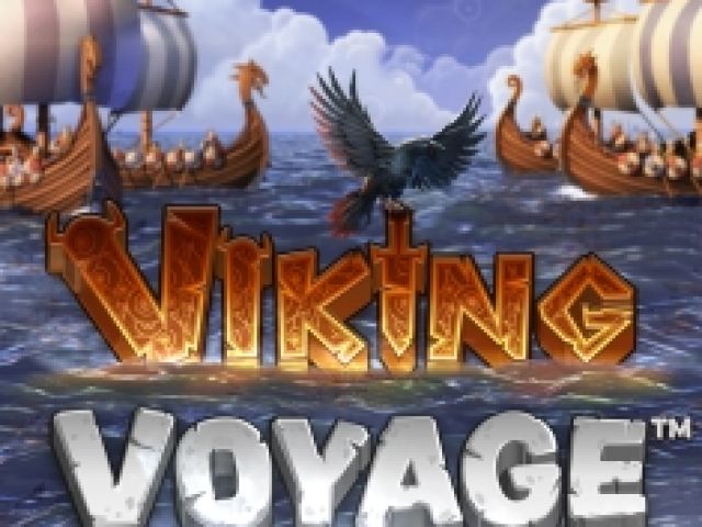 Viking Voyage