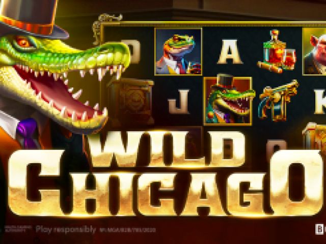 Wild Chicago