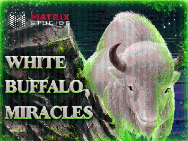 White Buffalo Miracles Scratch