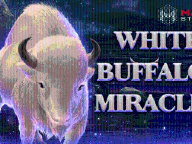 White Buffalo Miracles