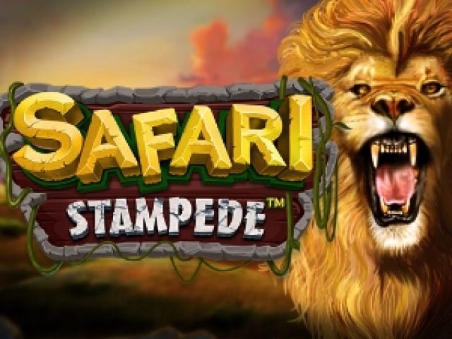 Safari Stampede