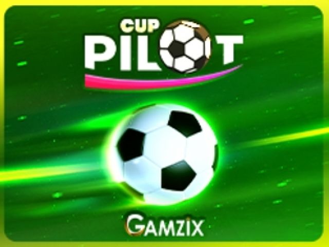 Pilot Cup