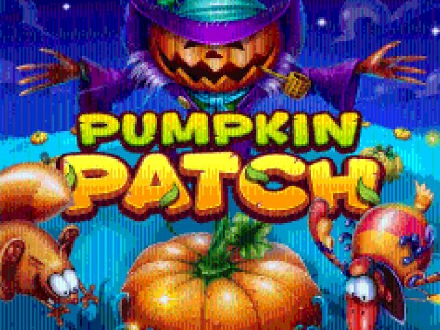 Pumpkin Patch