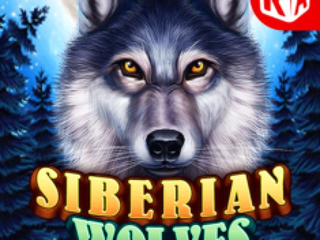 Siberian Wolves