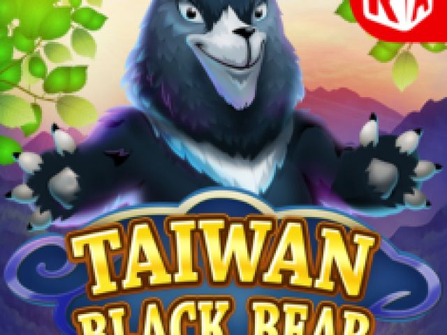 Taiwan Black Bear