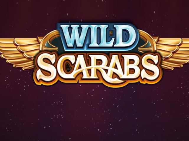 Wild Scarabs