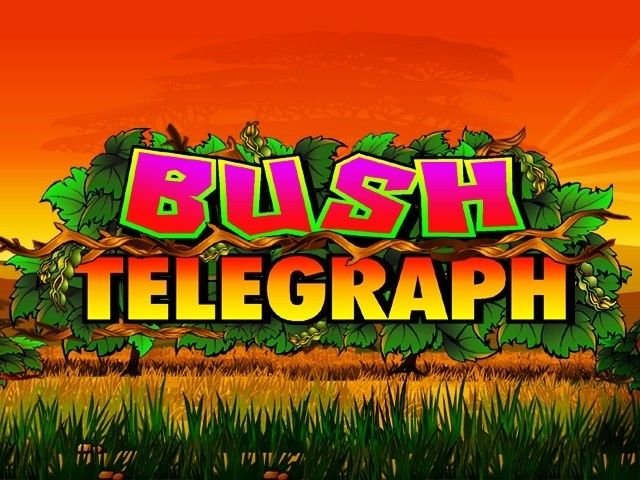 Bush Telegraph