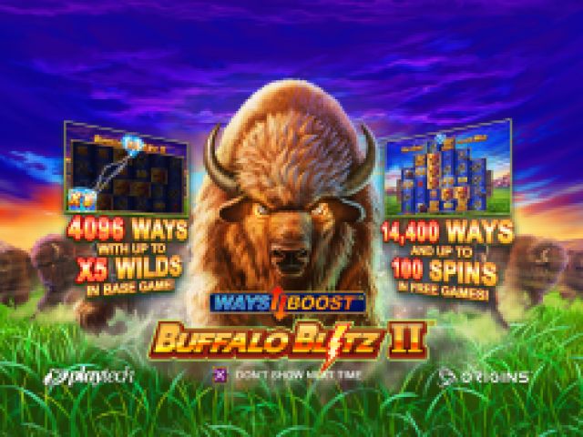 Buffalo Blitz II