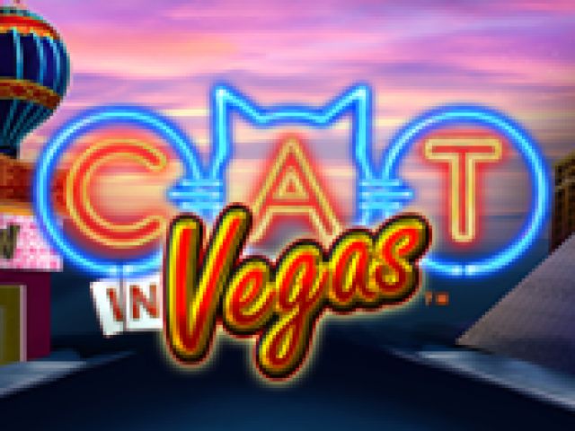 Cat in Vegas