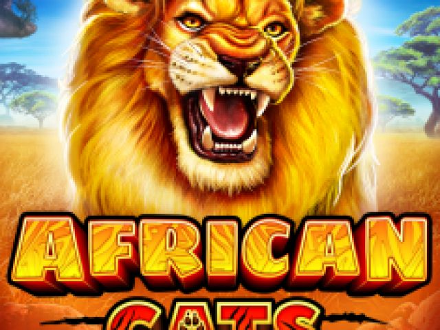 African Cats