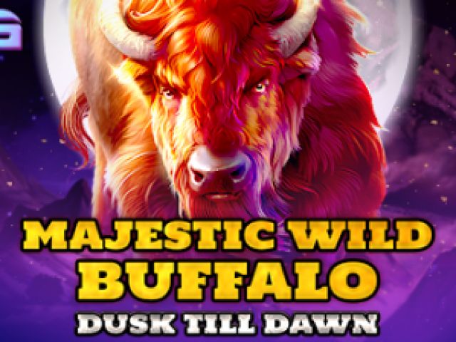 Majestic Wild Buffalo - Dusk Till Dawn