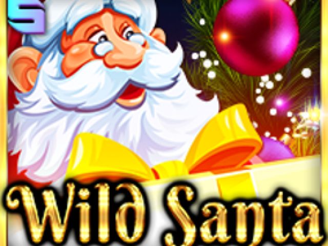 Wild Santa