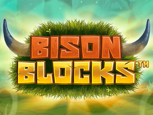 Bison Blocks