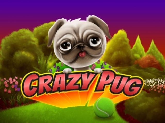 Crazy Pug