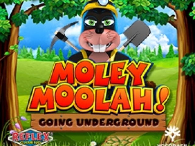 Moley Moolah Going Underground