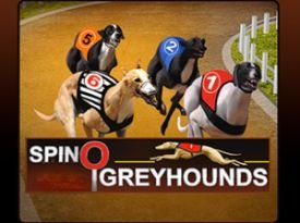 Spinosports Greyhounds