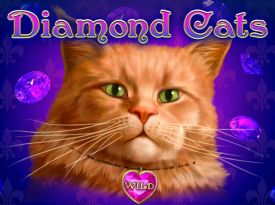 Diamond Cats