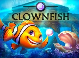 Clown Fish