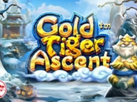 Gold Tiger Ascent