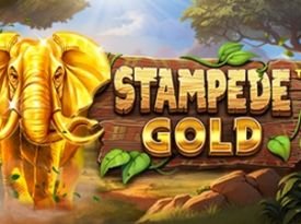 Stampede Gold™