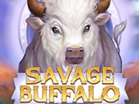 Savage Buffalo Spirit