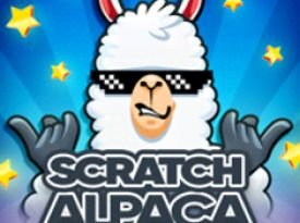 Scratch Alpaca Silver