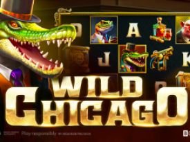 Wild Chicago