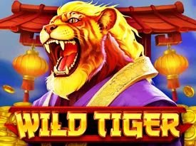 Wild Tiger