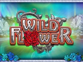 Wild Flower