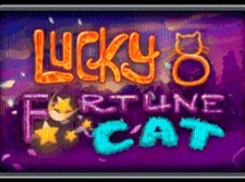 Lucky 8 Fortune Cat