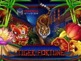 Tiger Fortune Scratch