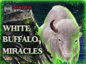 White Buffalo Miracles Scratch