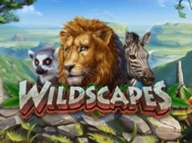 Wildscapes