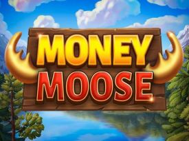 Money Moose