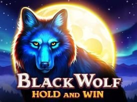 Black Wolf: Hold and Win