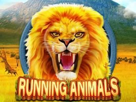 Running Animals