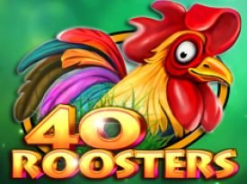 40 Roosters