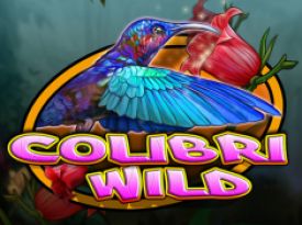 Colibri Wild