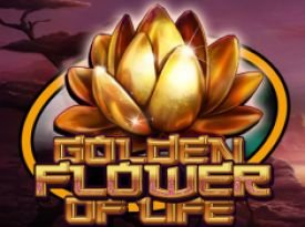 Golden Flower Of Life