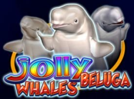 Jolly Beluga Whales