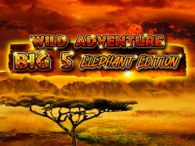 Wild Adventure - Big 5 Elephant Edition