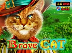 Brave Cat