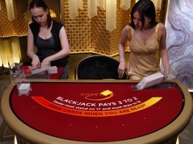 Speed VIP Blackjack M