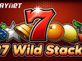 27 Wild Stacks