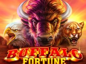 Buffalo Fortune