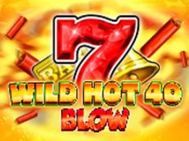 Wild Hot 40 Blow