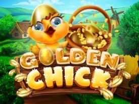 Golden Chick