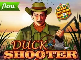 Duck Shooter Crazy Chicken Shooter