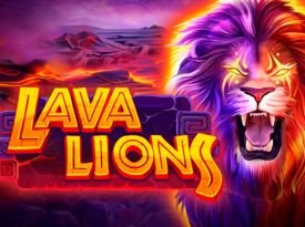 Lava Lions