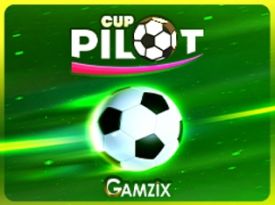 Pilot Cup